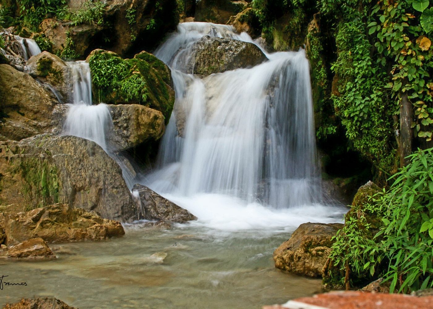 image containing nature beauty